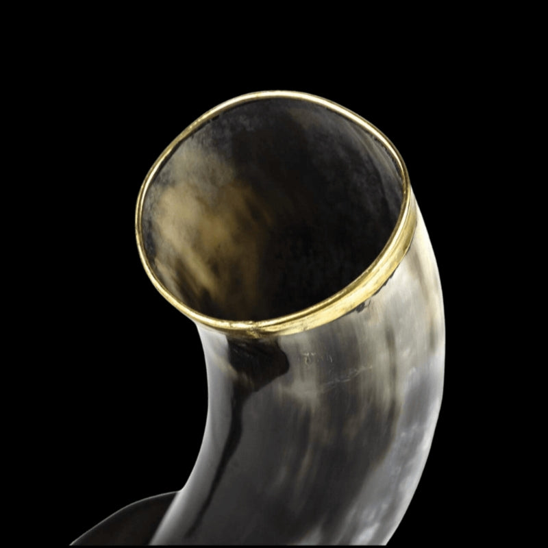 vkngjewelry home Handmade Brass Rimmed - Polished Drinking Horn (with stand)