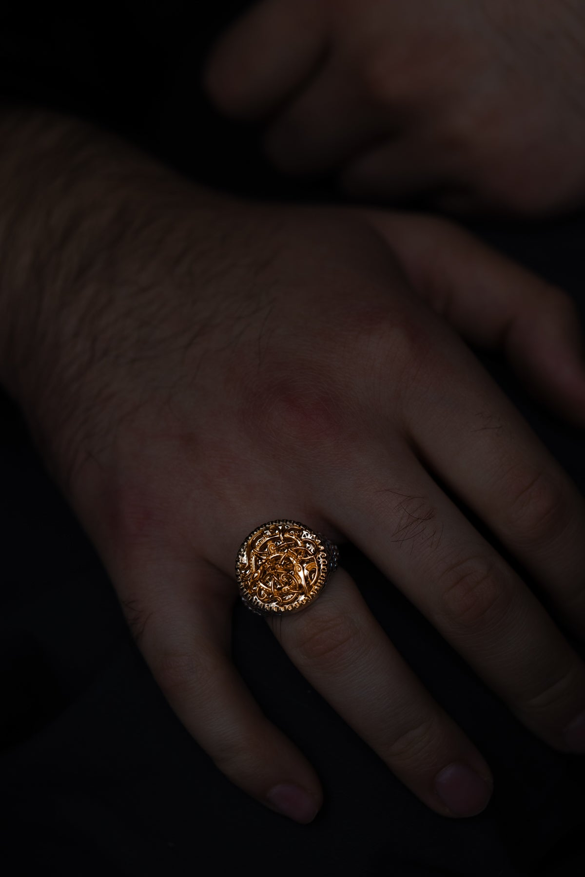 vkngjewelry Ring Viking Urnes Style Silver Ring with Gold Plated Overlay